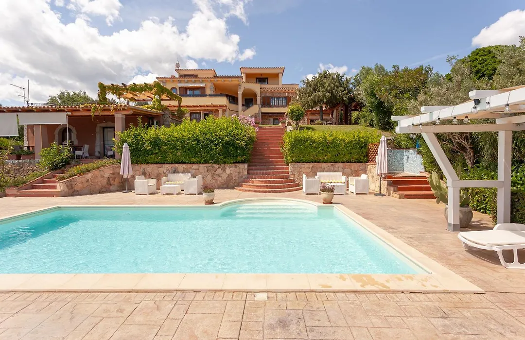Domus Francy-1